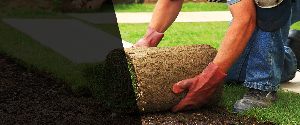 North Dighton Landscapers